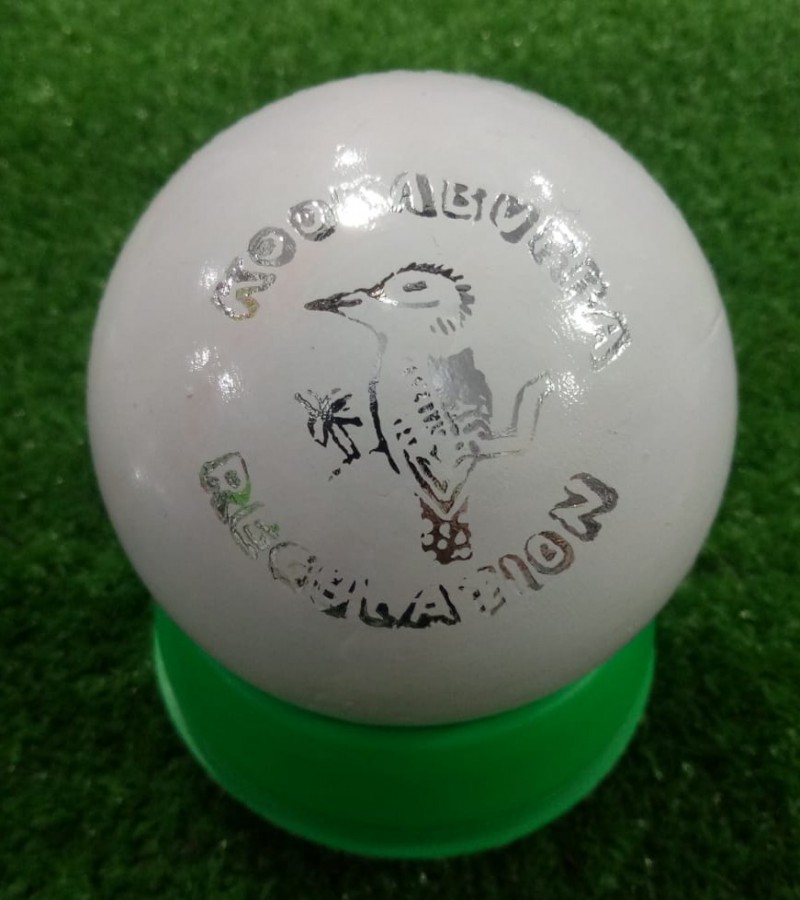 HARD BALL CRICKET BALL