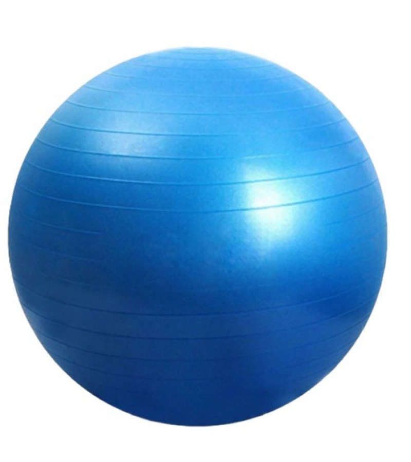 Gymnastic Ball Anti-Burst Gym Ball with Free Pump